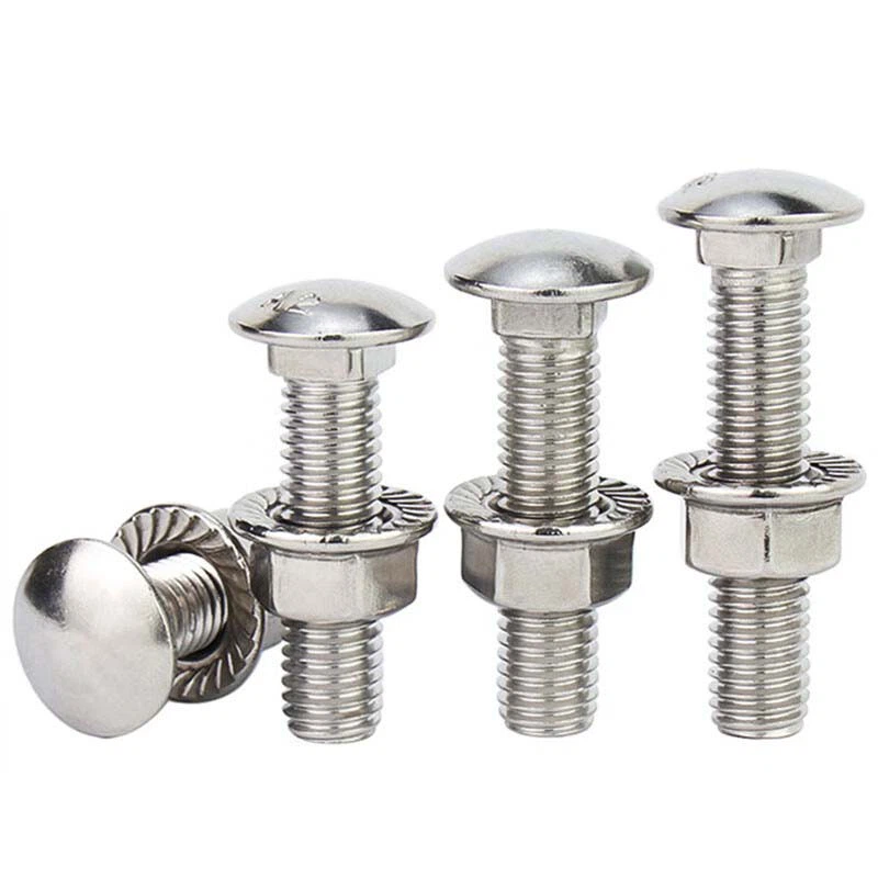 SS 304 316 Carriage Bolt DIN603 Stainless Steel